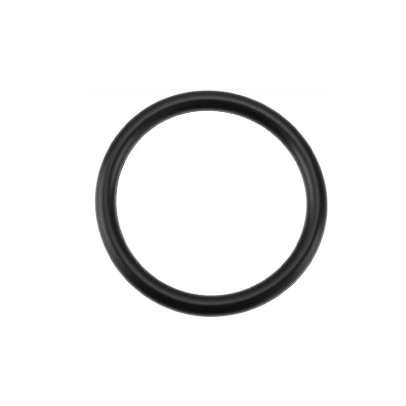 1 шт. 55582541 Уплотнительное  – обзор и цена Tank O-Ring Seal